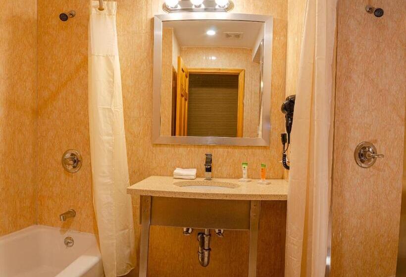 اتاق سوپریور با تخت بزرگ, Elmhurst
