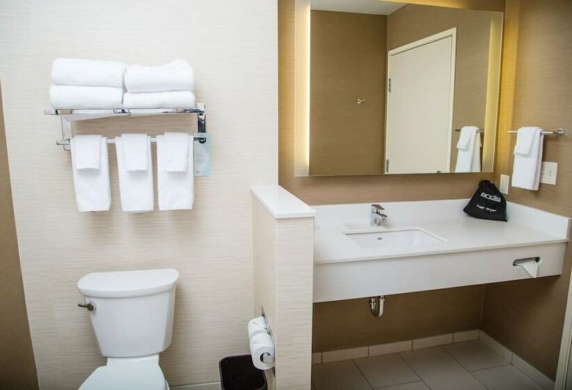 سوییت, Fairfield Inn & Suites By Marriott Pocatello
