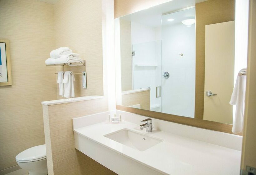 سوییت, Fairfield Inn & Suites By Marriott Pocatello