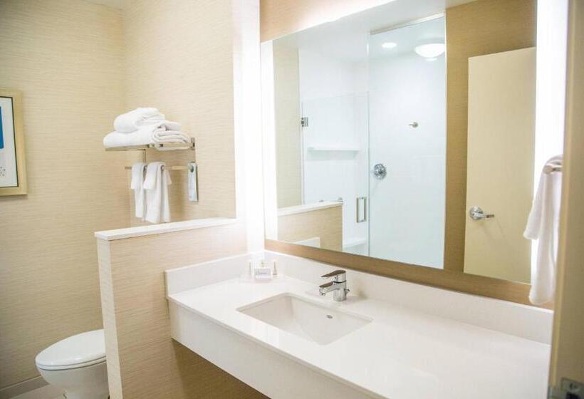 اتاق استاندارد با تخت بزرگ, Fairfield Inn & Suites By Marriott Pocatello