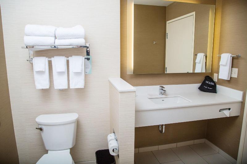 اتاق استاندارد با تخت بزرگ, Fairfield Inn & Suites By Marriott Pocatello
