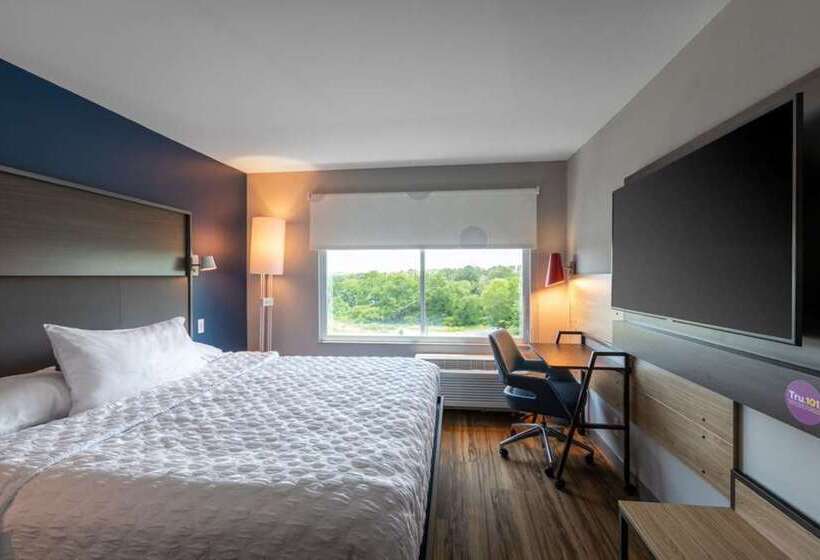اتاق استاندارد با تخت بزرگ برای معلولان, Tru By Hilton Portland Airport Area