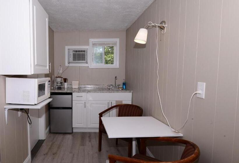 اتاق لوکس با چشم‌انداز دریا, Island View Motel
