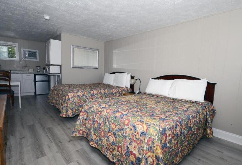 اتاق لوکس با چشم‌انداز دریا, Island View Motel