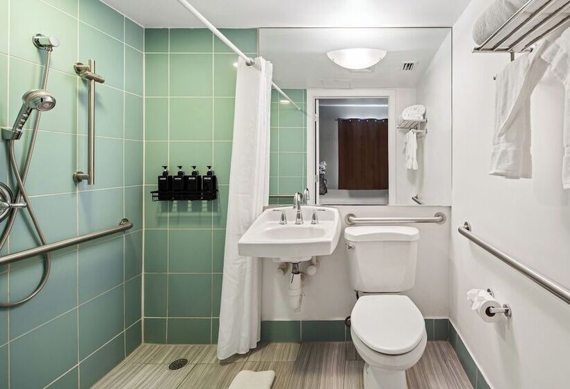 اتاق استاندارد برای معلولان, Kasa La Flora And Impala Miami Beach
