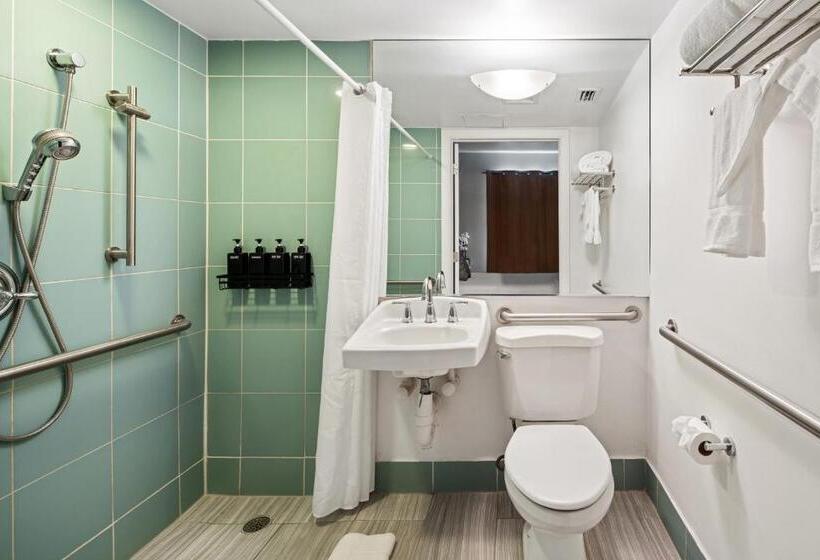 اتاق استاندارد برای معلولان, Kasa La Flora And Impala Miami Beach