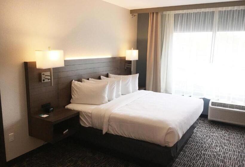 استودیو استاندارد با تخت کینگ, Gundersen Hotel & Suites