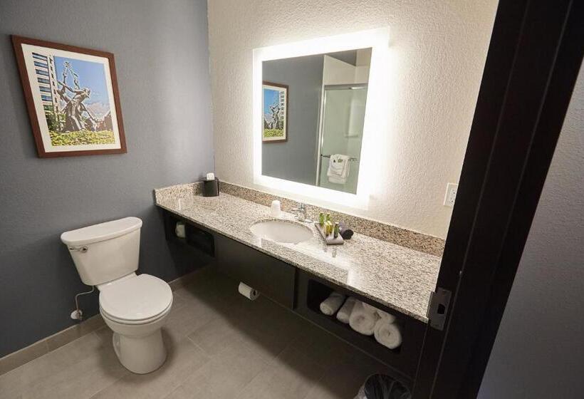 استودیوی استاندارد, Gundersen Hotel & Suites