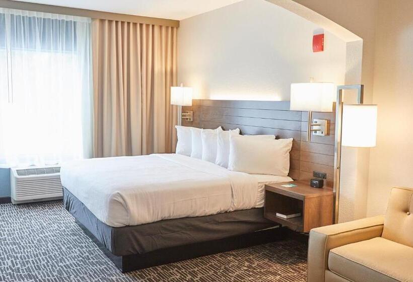استودیو استاندارد با تخت کینگ, Gundersen Hotel & Suites
