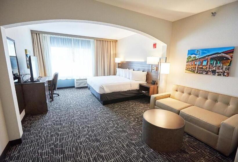 استودیو استاندارد با تخت کینگ, Gundersen Hotel & Suites