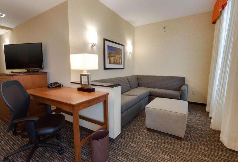 اتاق استاندارد, Drury Inn & Suites Fort Myers Airport Fgcu