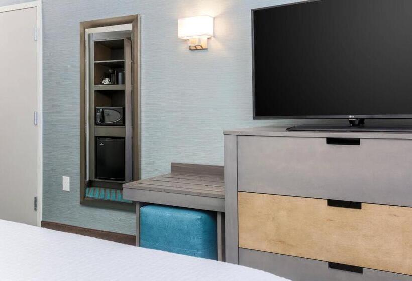 سوئیت با تخت بزرگ, Fairfield Inn & Suites By Marriott Wichita Falls Northwest