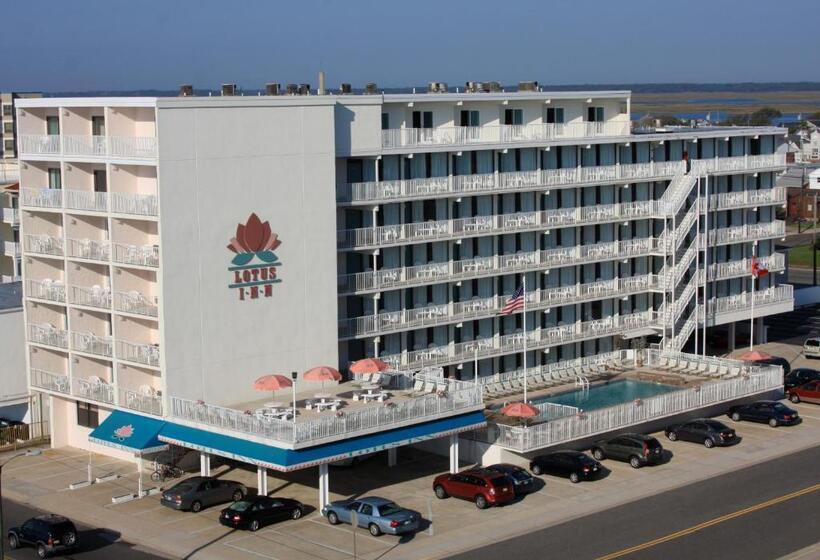 سوییت لوکس, Lotus Inn