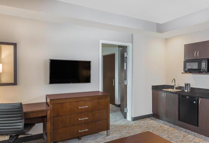 سوئیت برای معلولان, Wingate By Wyndham Miami Airport