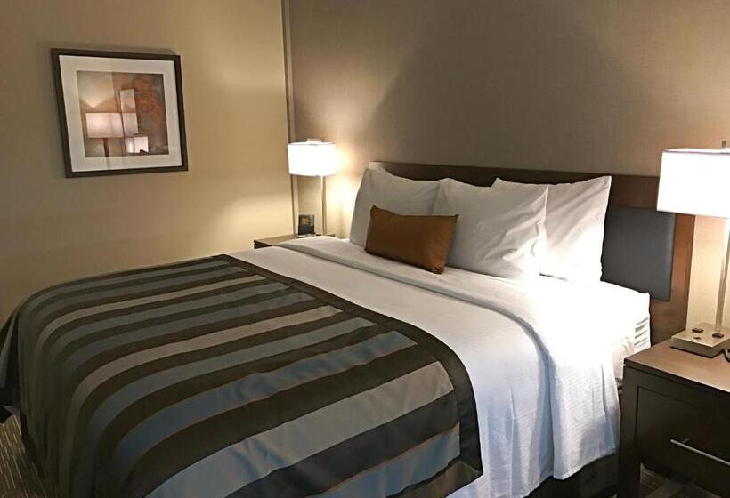 سوئیت برای معلولان, Wingate By Wyndham Miami Airport
