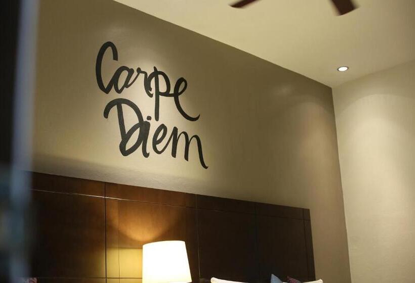 اتاق استاندارد, Punto Madero Hotel & Plaza