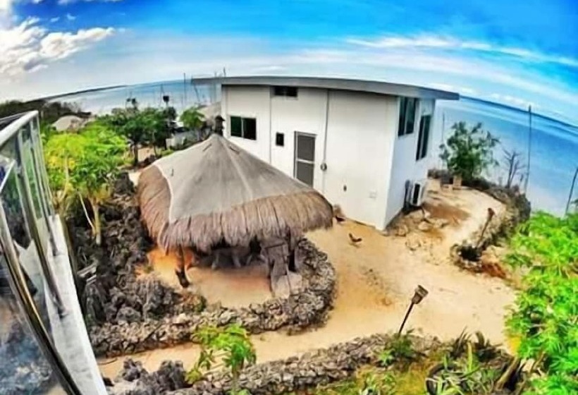 استودیوی لوکس, Birdland Beach Club