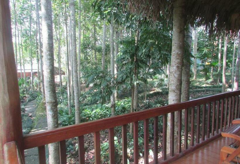 اتاق سوپریور با چشم‌انداز باغ, Truong Xuan Resort