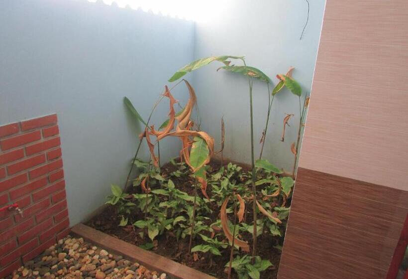 اتاق سوپریور با چشم‌انداز باغ, Truong Xuan Resort