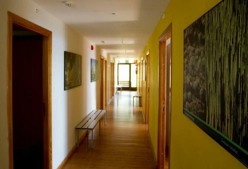 تختخواب در اتاق مشترک, Albergue Montes De Anaga