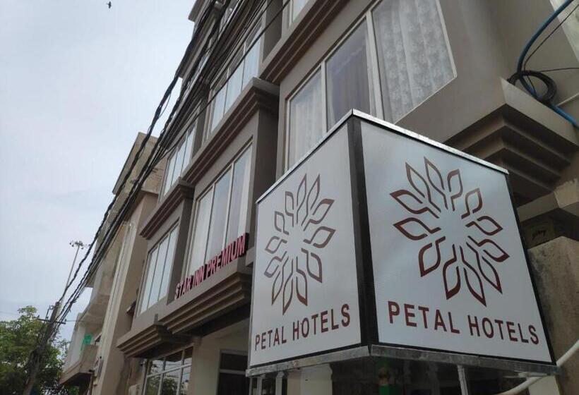 اتاق لوکس, Petal