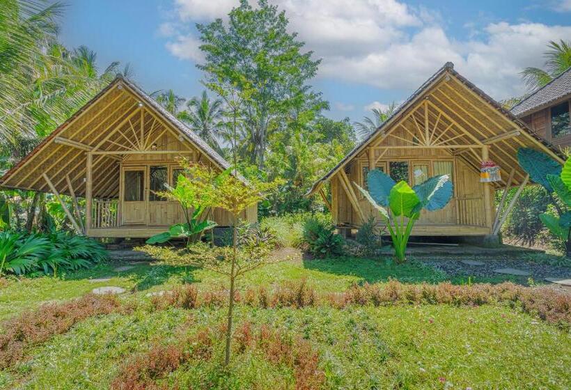اتاق استاندارد, Lembah Wanna