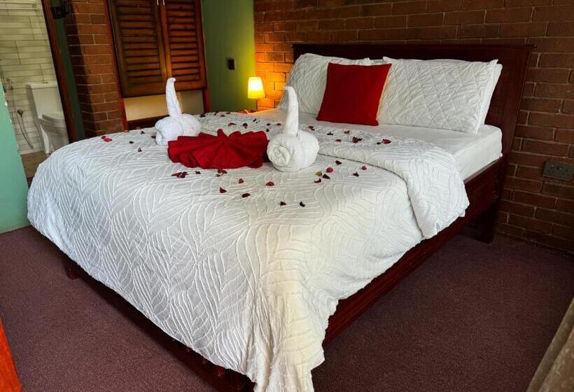 اتاق سوپریور, Vip Self Contained Single Room