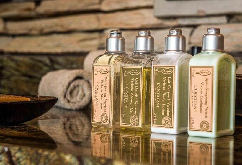 اتاق استاندارد با تخت بزرگ برای معلولان, Ximuwu Safari Lodge