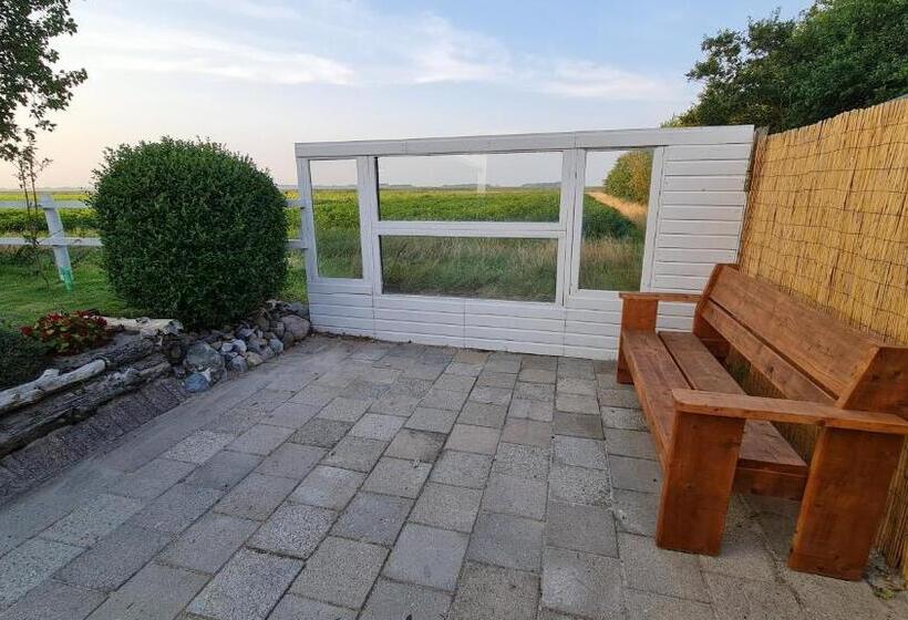 اتاق استاندارد با تخت بزرگ, The Shed
