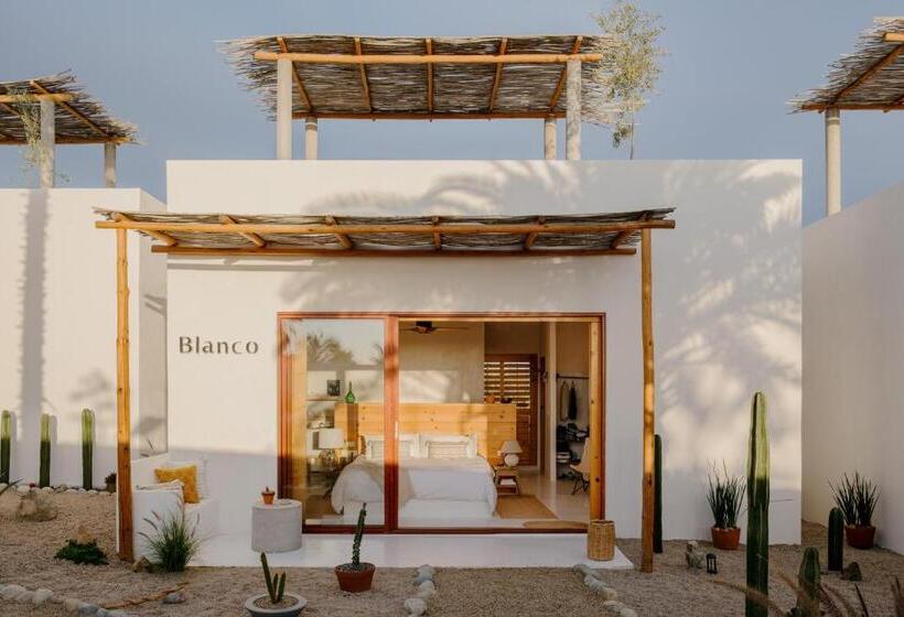 استودیوی استاندارد, Casablancomadera