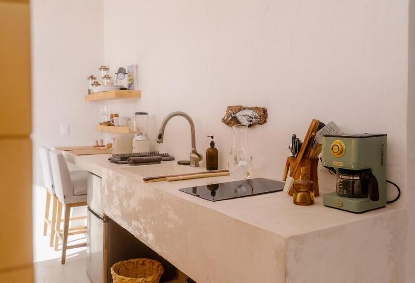 استودیوی استاندارد, Casablancomadera