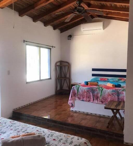 اتاق لوکس, Casa Playa Jade
