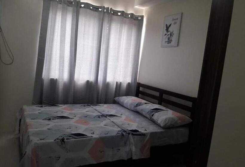 استودیوی استاندارد, Comfy 35 The Persimmon Studio
