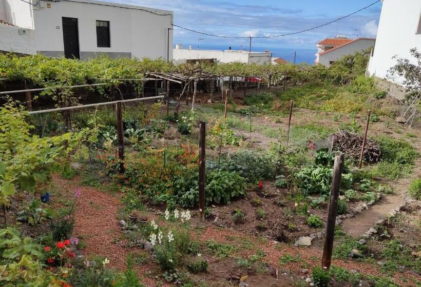 اتاق استاندارد, Un Jardin Al Mar