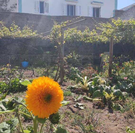 اتاق استاندارد, Un Jardin Al Mar