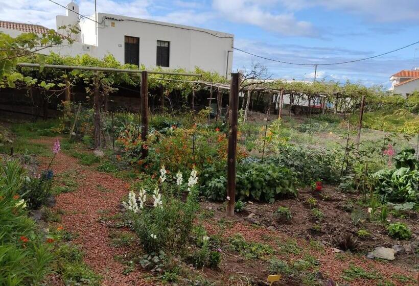 اتاق سوپریور, Un Jardin Al Mar