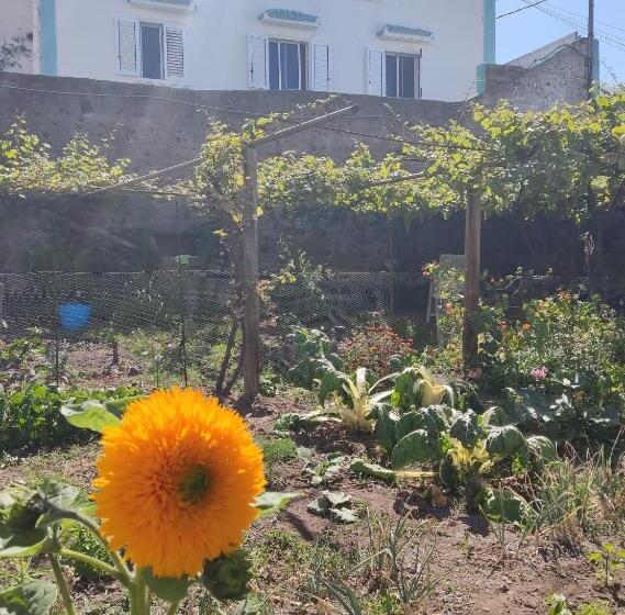 اتاق سوپریور, Un Jardin Al Mar