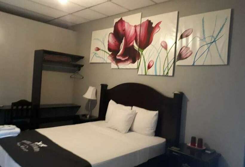 Standard Single Room Single Bed, Diplomatico