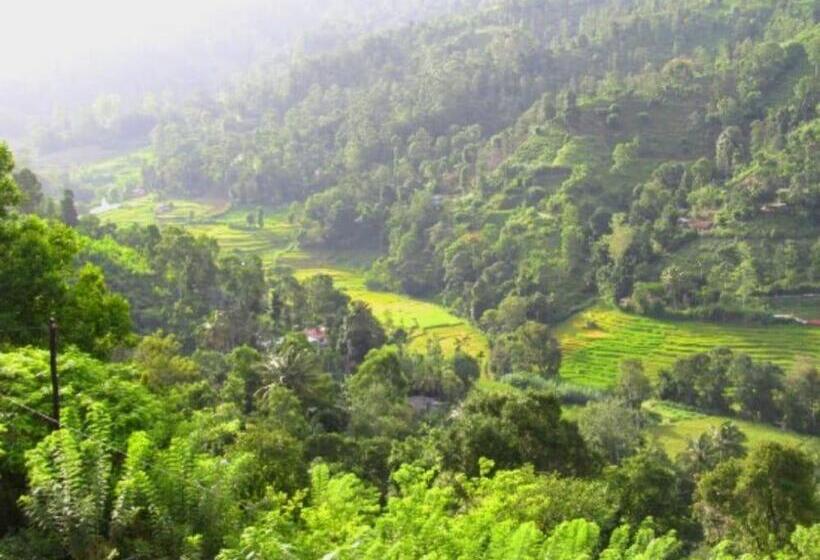 اتاق استاندارد با بالکن, Ornateview