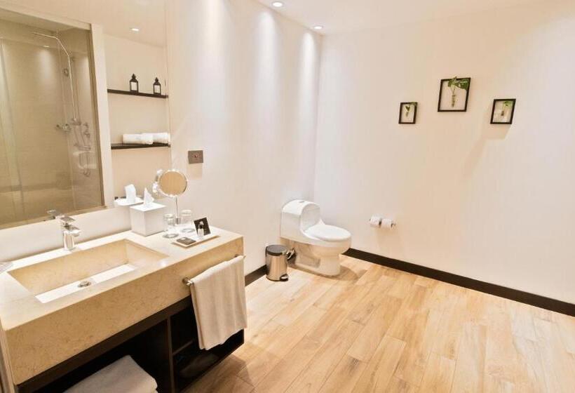 اتاق سوپریور, Sonesta Hotel Bucaramanga