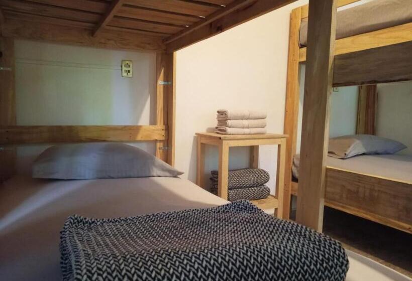 اتاق سوپریور, Hostel Paricutín