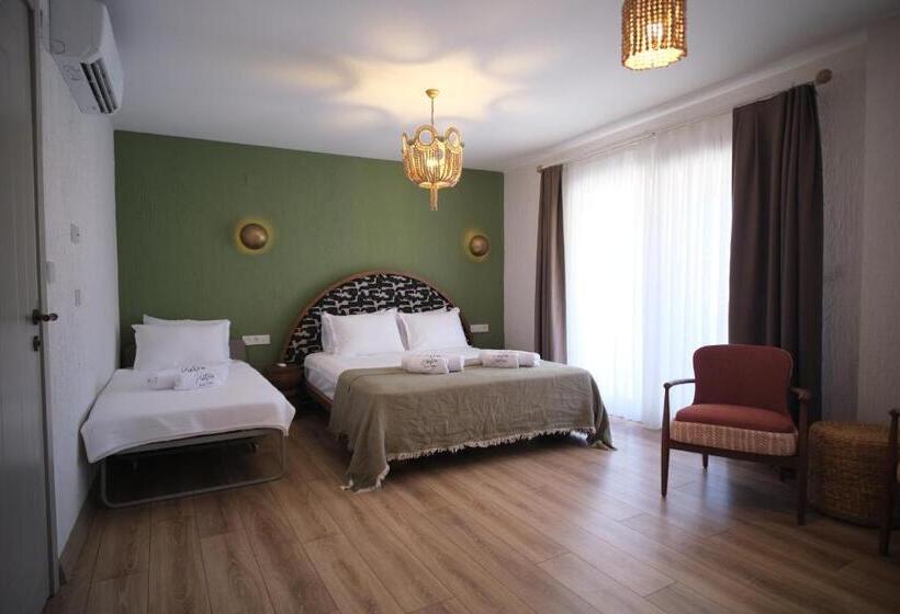 اتاق استاندارد سه نفره, Pietra Social House
