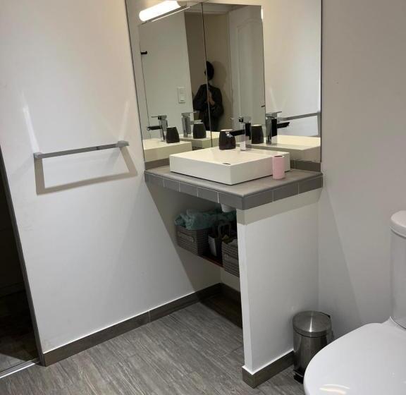 آپارتمان 1 خوابه همکف, Logement Provence Dans Domaine Oléicole