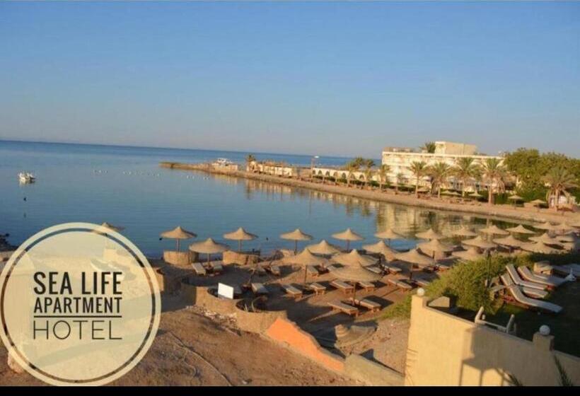 اتاق خانوادگی, Red Sea Apartment