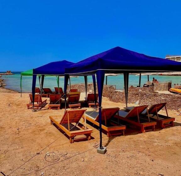 اتاق خانوادگی, Red Sea Apartment