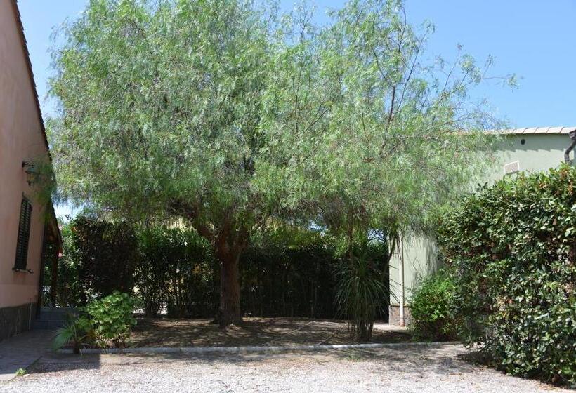 بنگله خانوادگی, Sicily Penta Dream House