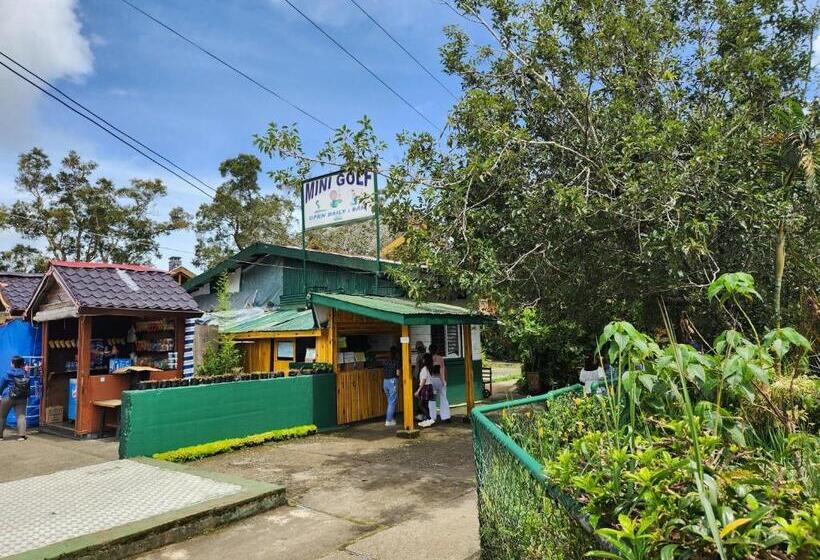سوئیت جونیور با چشم‌انداز کوهستان, Camp John Hay Lodge 200