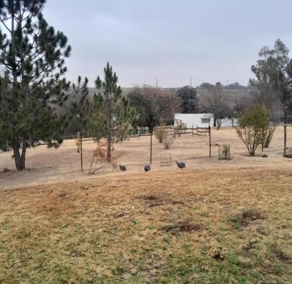 חדר דלוקס, Woburn Guest House