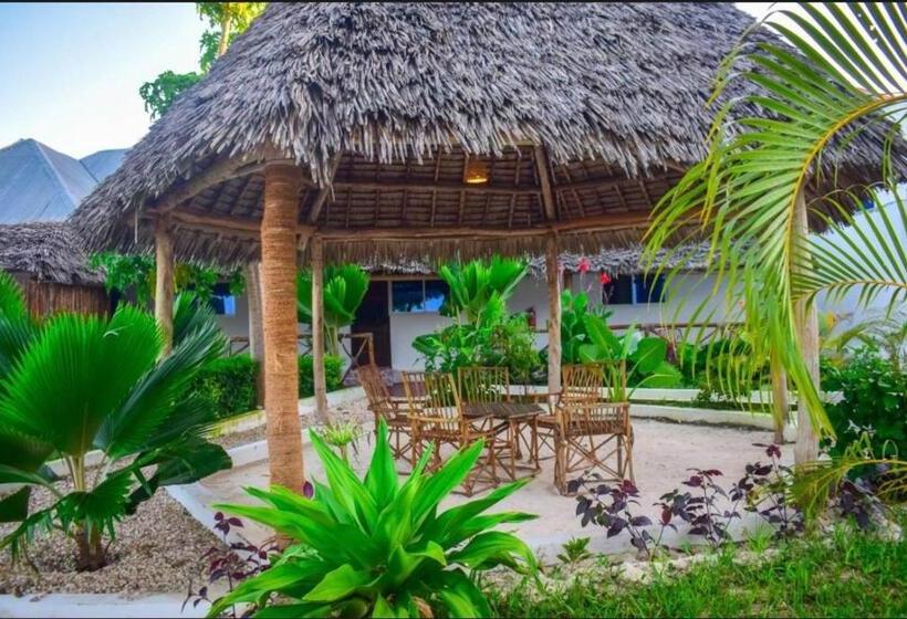 آپارتمان 1 خوابه, Tolo Tolo Resort