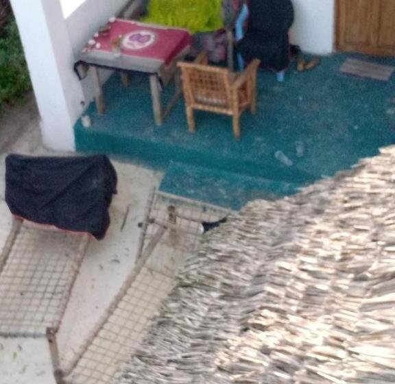اتاق استاندارد, Green View Jambiani